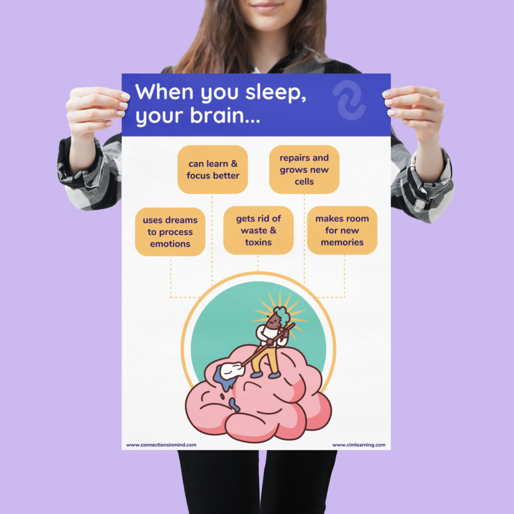 What Happens When You Sleep: A Visual Guide to Brain Activity Poster ...